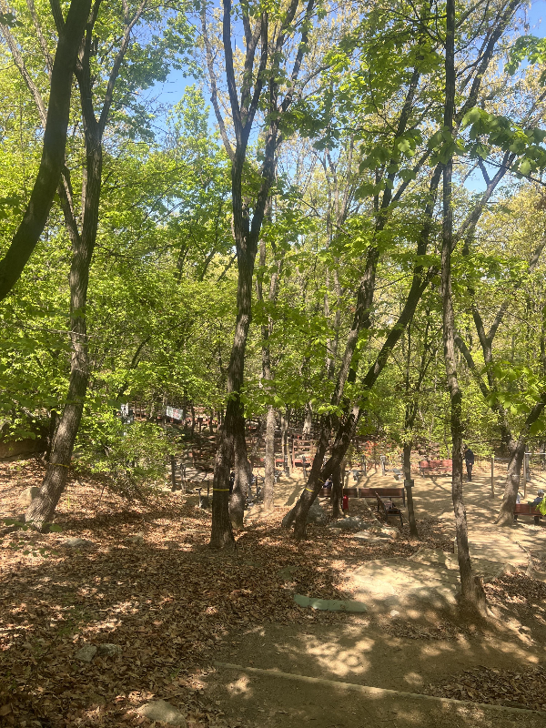 청량산-쉼터