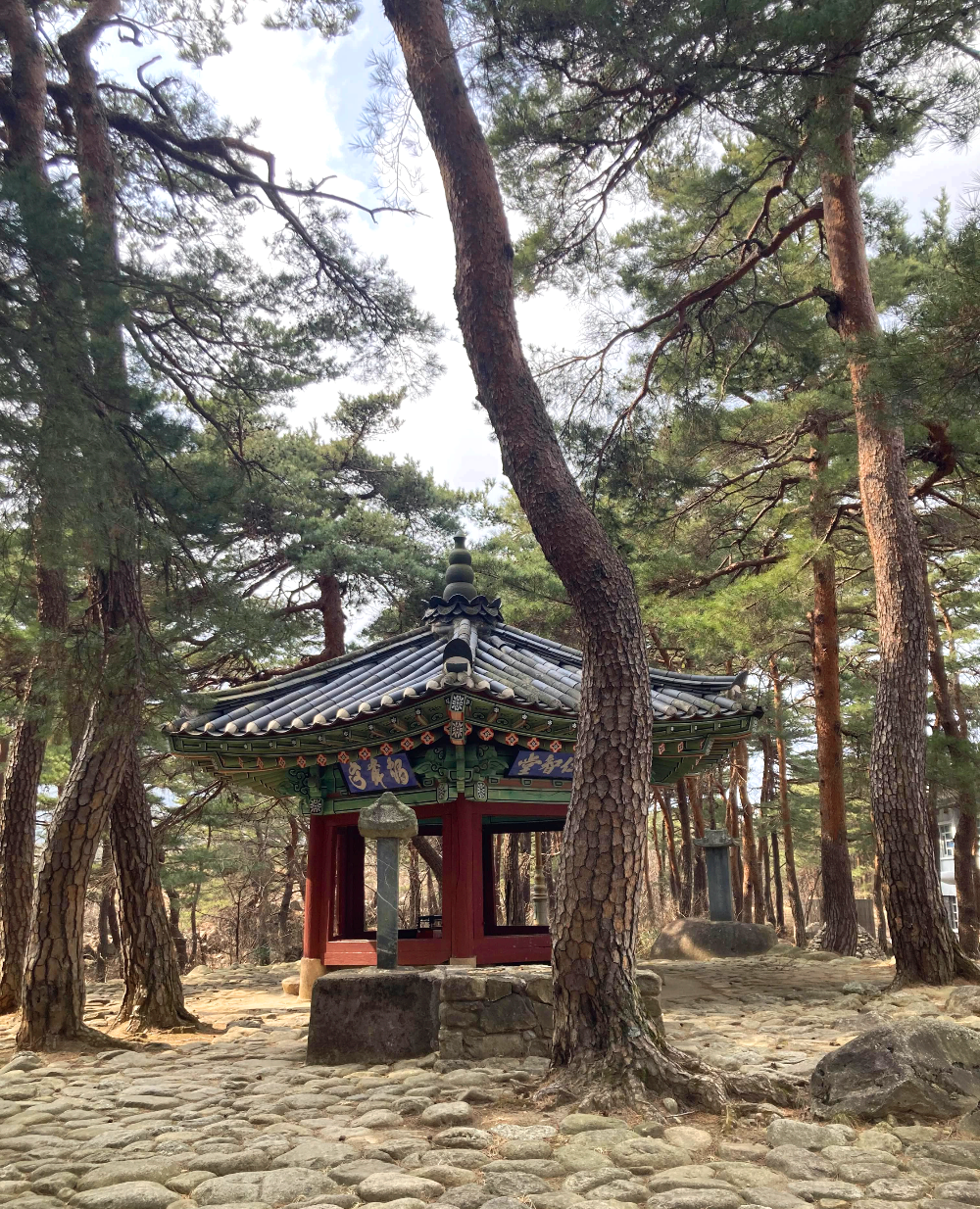 학무정