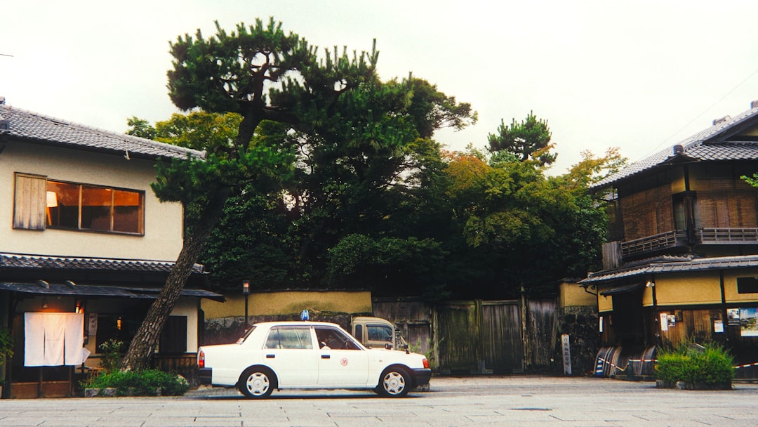 Used car site