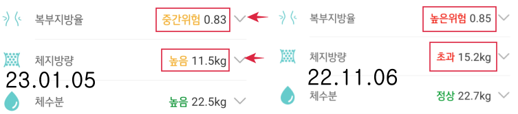 인바디 결과