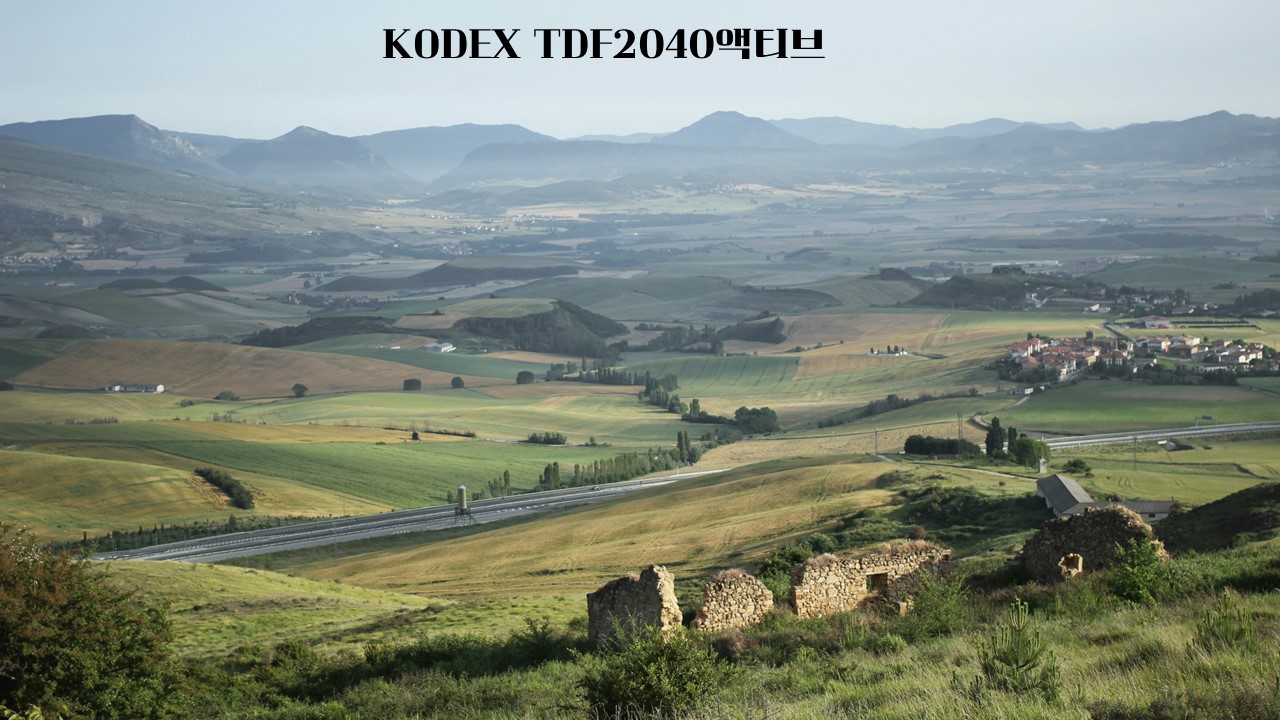  KODEX TDF2040액티브/433980