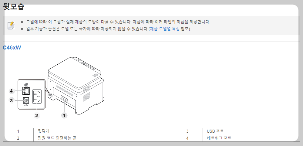 뒷모습