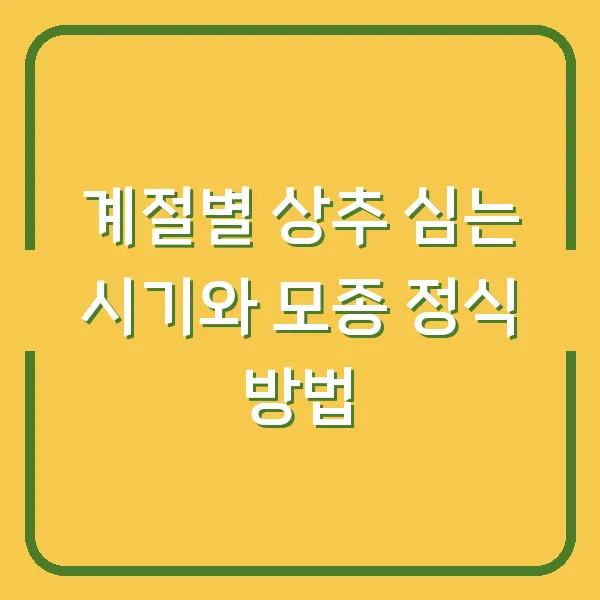 계절별 상추 심는 시기와 모종 정식 방법