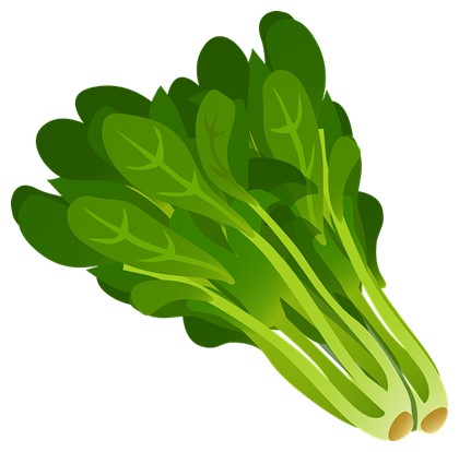 시금치