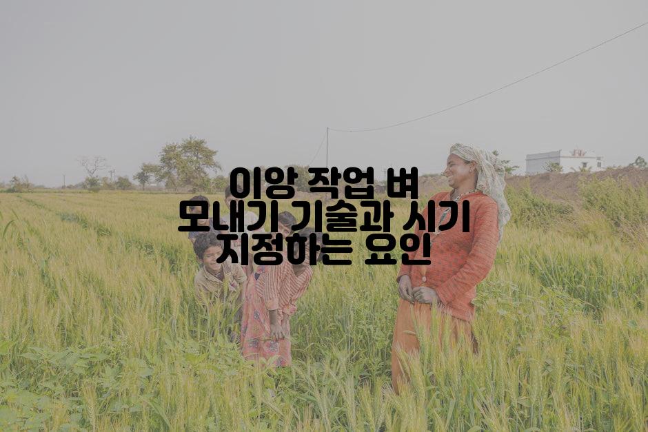 이앙 작업 벼 모내기 기술과 시기 지정하는 요인