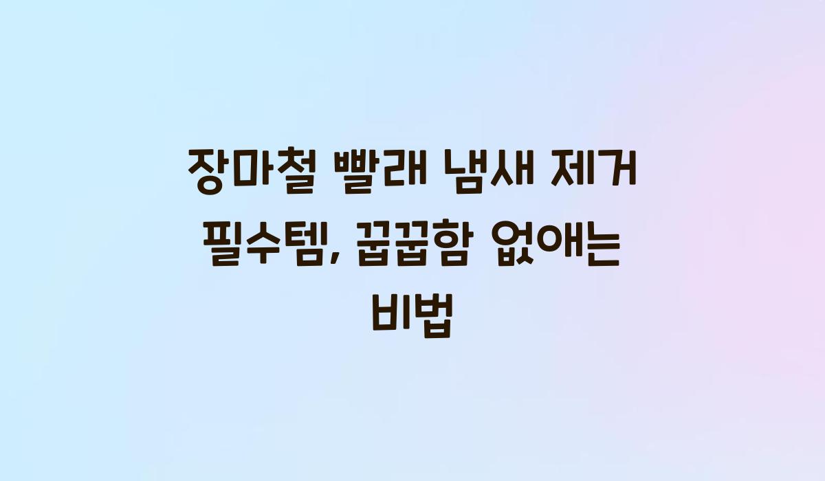 장마철 빨래 냄새 제거 필수템