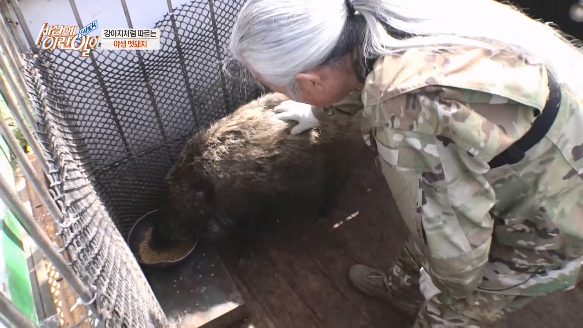 순간포착 세상에 이런일이.E1227.230425p.H264-F1RST.mp4_20230426_194343.100.jpg