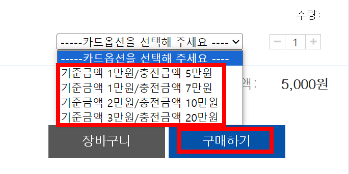 카드-구매-옵션