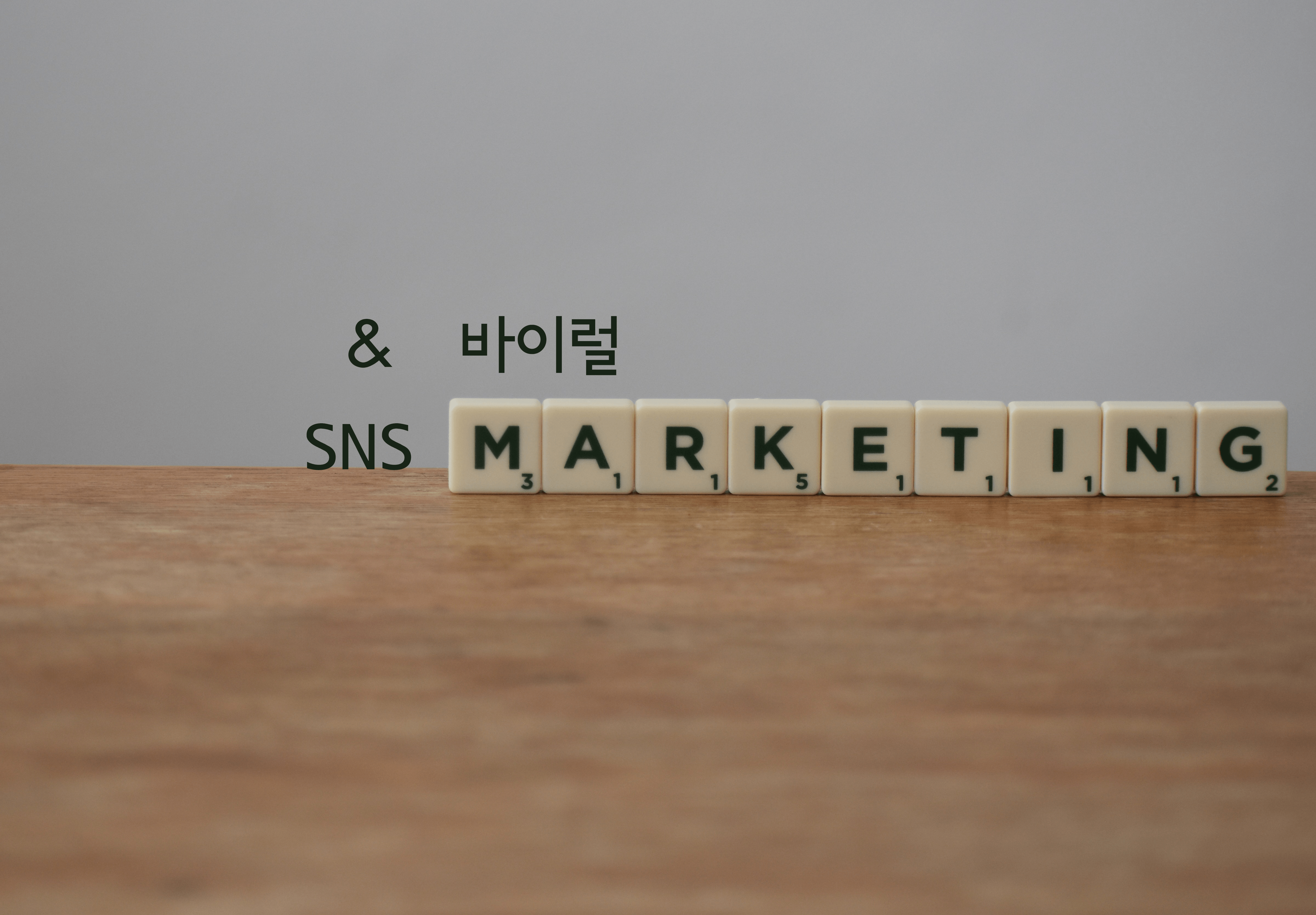  SNS 마케팅 바이럴 마케팅의 종류와 뜻( 퍼스널 브랜딩 )