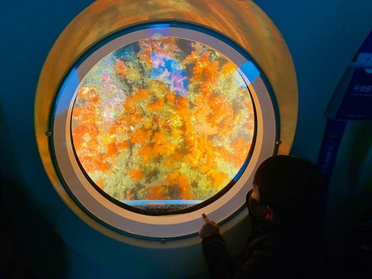잠수함 창문 밖에 주황색 산호가 보이고 오른쪽 아래에 아이가 산호를 쳐다보고 있다.