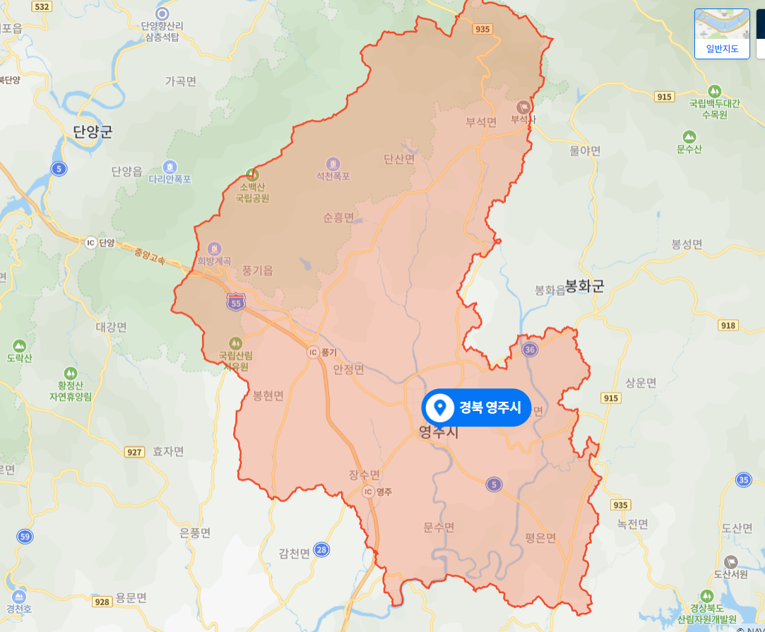 조아서치킨 이미지