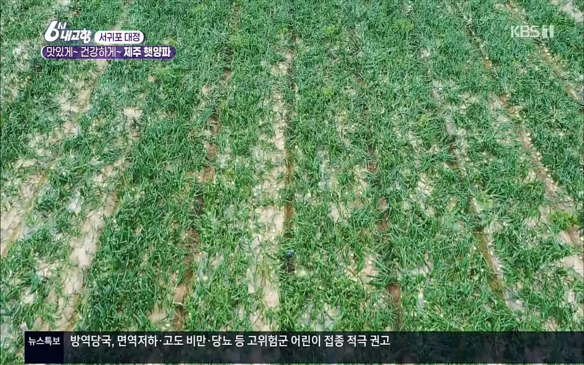 6시 내고향.E7505.220407p.H264-F1RST.mp4_20220411_180218.746.jpg