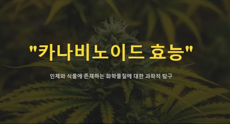 카나비노이드