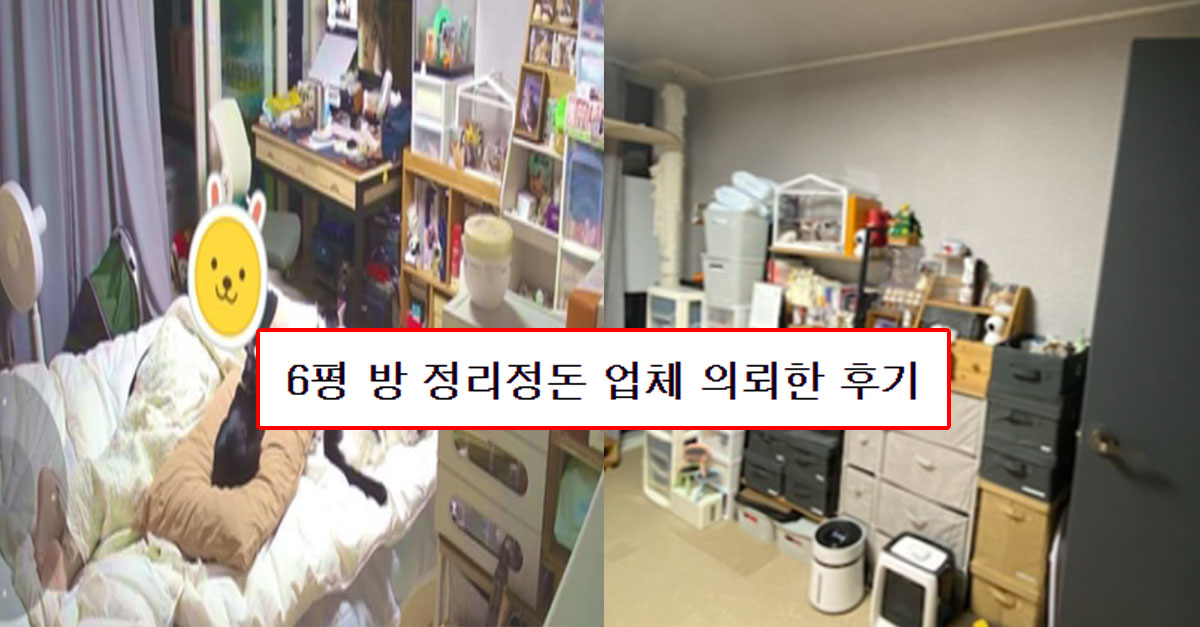  한 누리꾼이 '정리정돈 업체'사용해본 후기