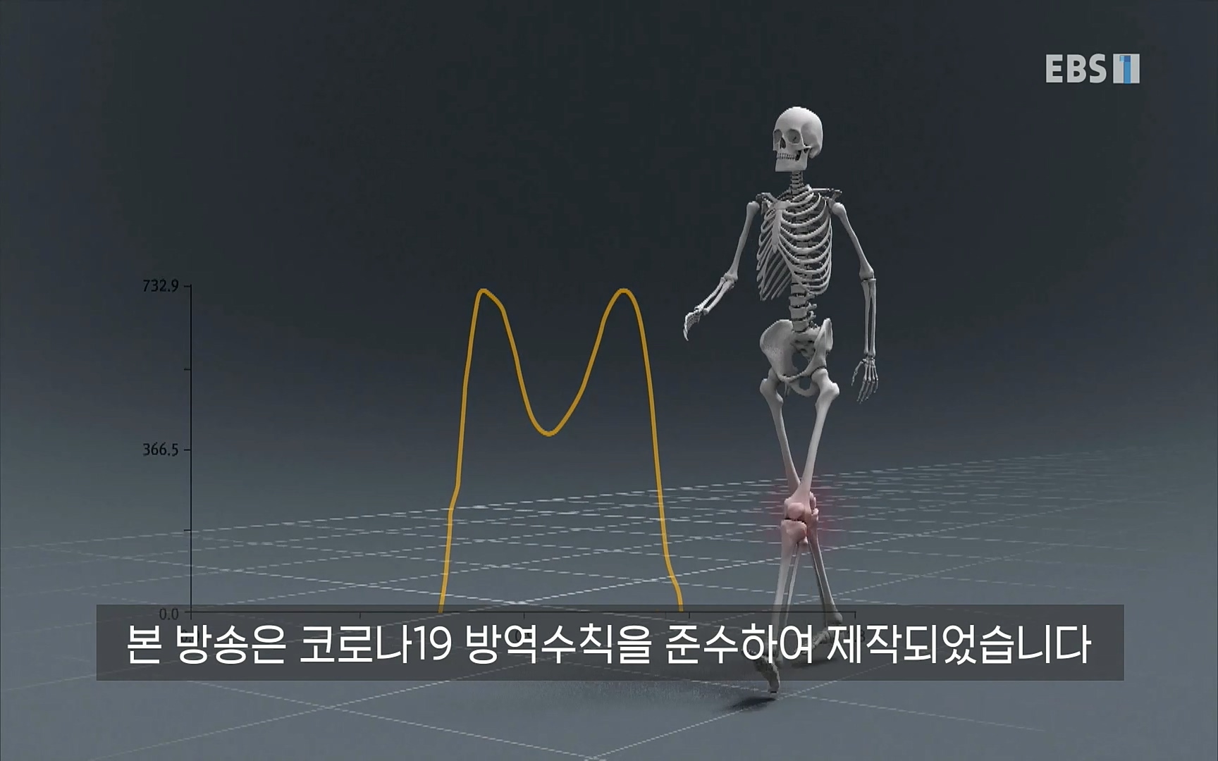 EBS 명의 헬스케어 - TV - 교육의 중심 EBS무릎 건강 프로젝트 2부 새 무릎으로 사는 법 .mp4_20220726_202326.024.jpg