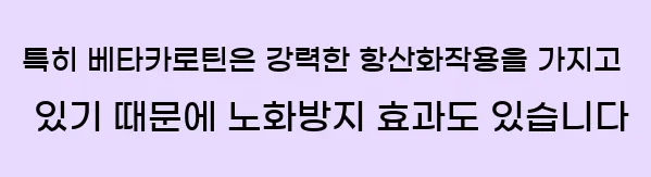  특히 베타카로틴은 강력한 항산화작용을 가지고 있기 때문에 노화방지 효과도 있습니다