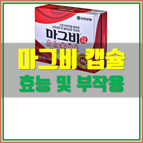  마그비 가격 효능 정보