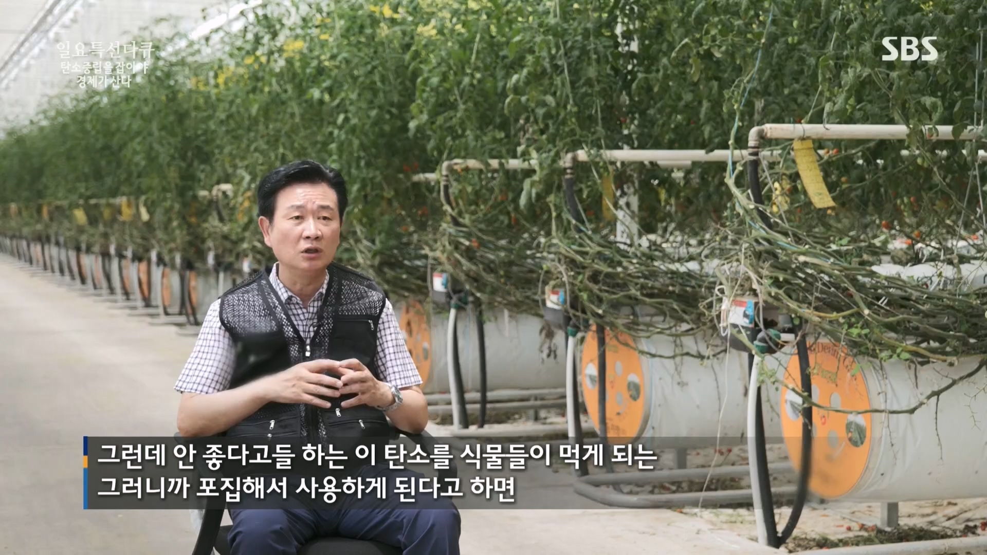일요 특선 다큐멘터리.E320.230917p.H264-F1RST.mp4_20230925_203215.001.jpg