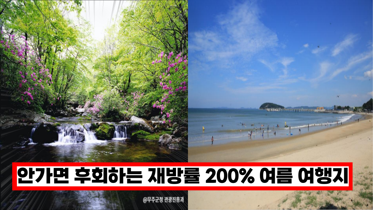  '지금 안가면 후회 합니다 ' 6~7월 재방문률 200% 역대급 여름 여행지