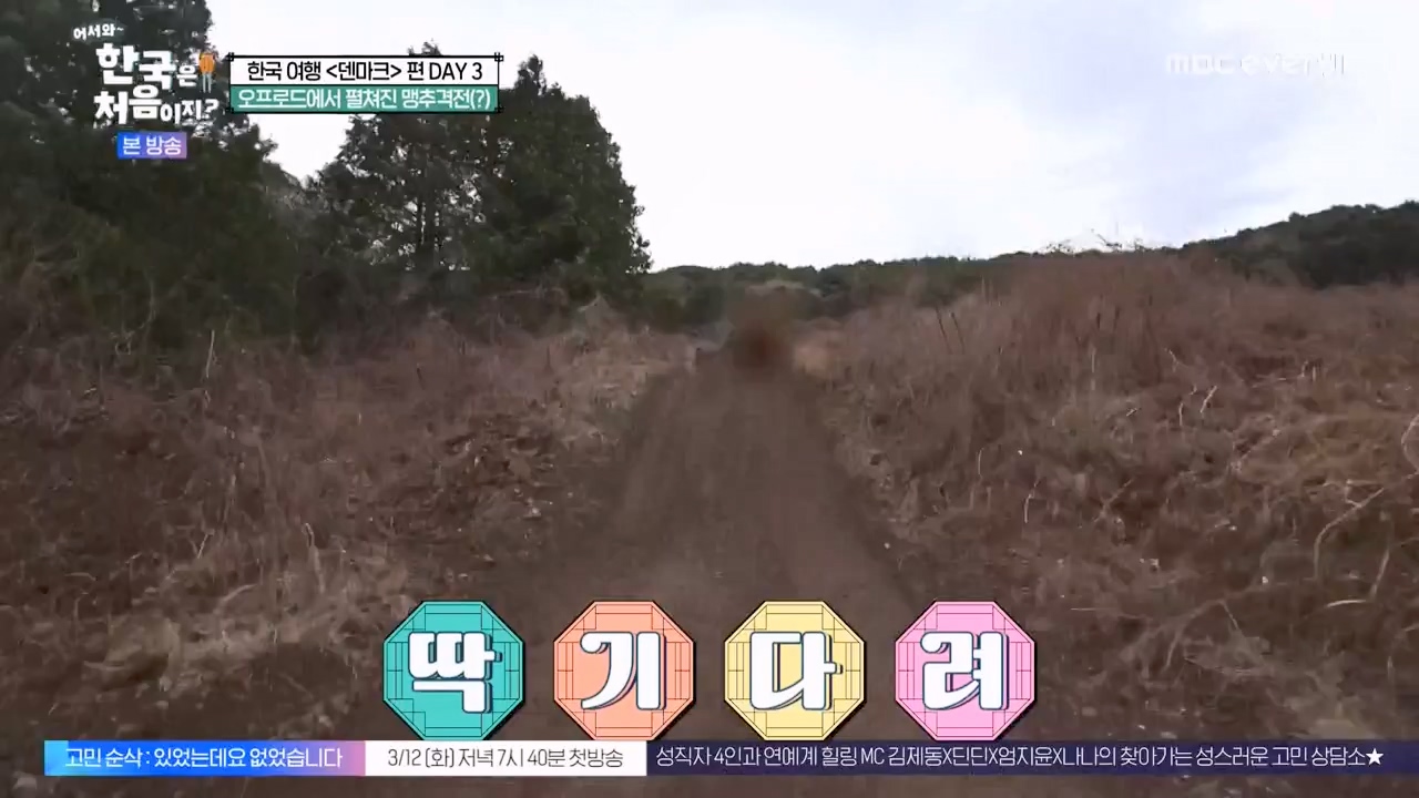 어서와 한국은 처음이지 시즌2.E304.240230p-NEXT.mp4_20240301_172036.577.jpg