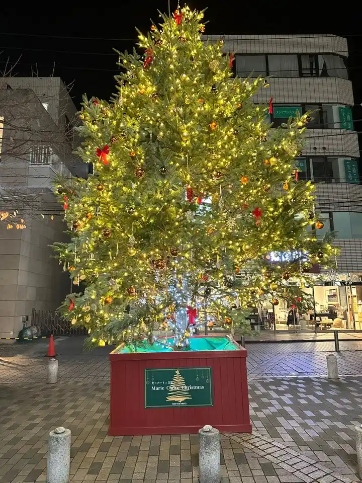 도쿄도 지유가오카에 생긴 2022년 크리스마스 트리