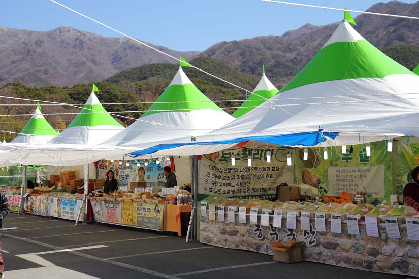 산수유마을 축제장