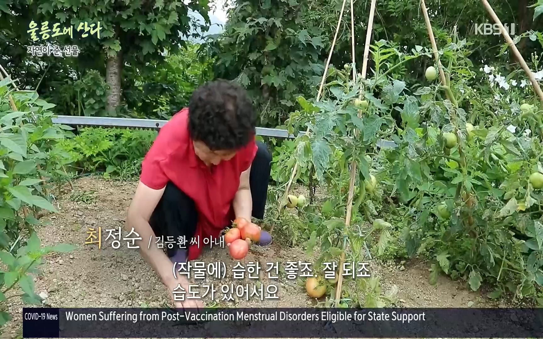 다큐울릉도에산다.E01.220909p.H264-F1RST.mp4_20220912_180559.733.jpg