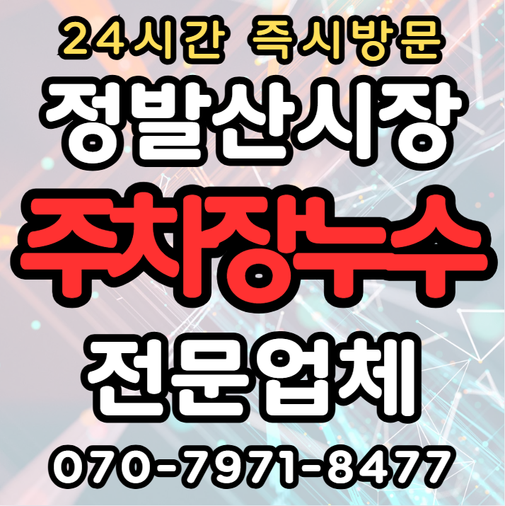 일산 정발산시장 상가·아파트 지하1