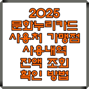 2025 문화누리카드 사용처 사용내역 잔액 조회 확인 온라인 오프라인 확인 방법