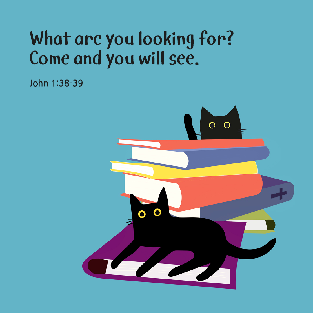 What are you looking for? Come&#44; and you will see. (John 1:38-39)