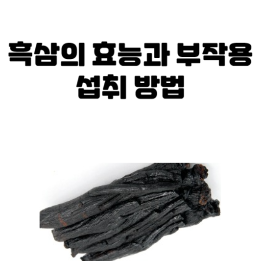 흑삼의 효능과 부작용&#44; 섭취 방법