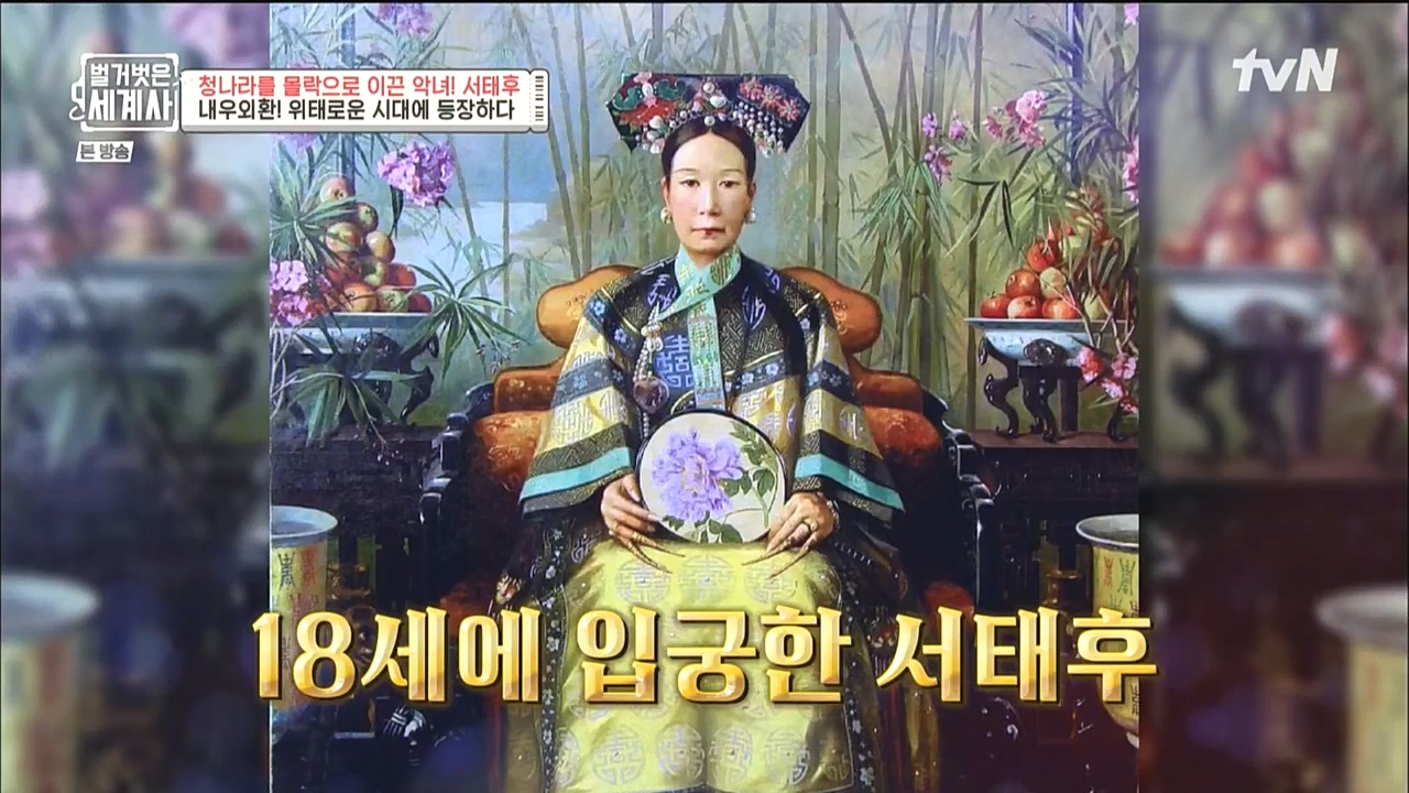 벌거벗은 세계사.E67.221005p-NICE.mp4_20221029_184633.392.jpg