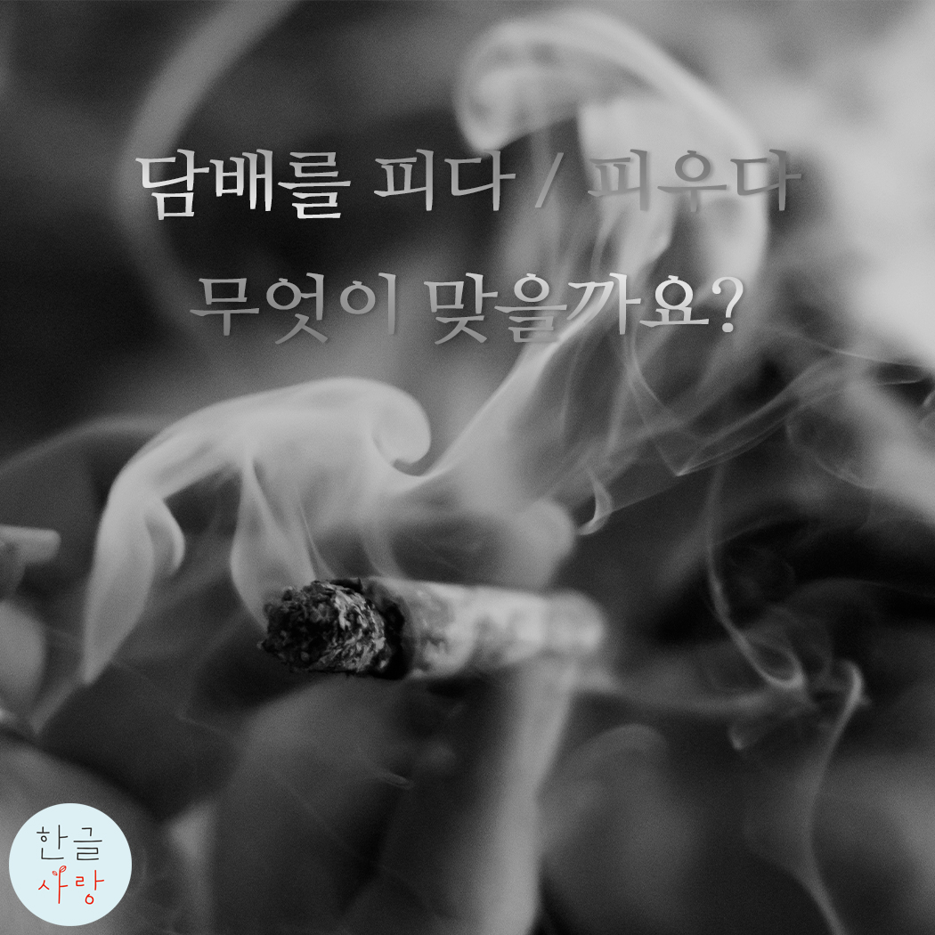  담배를 피다 / 피우다 무엇이 맞을까요?