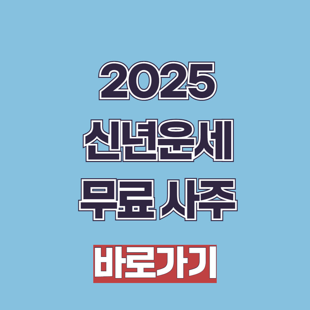 2025 신년운세 무료 토정비결 사주 사이트 총정리