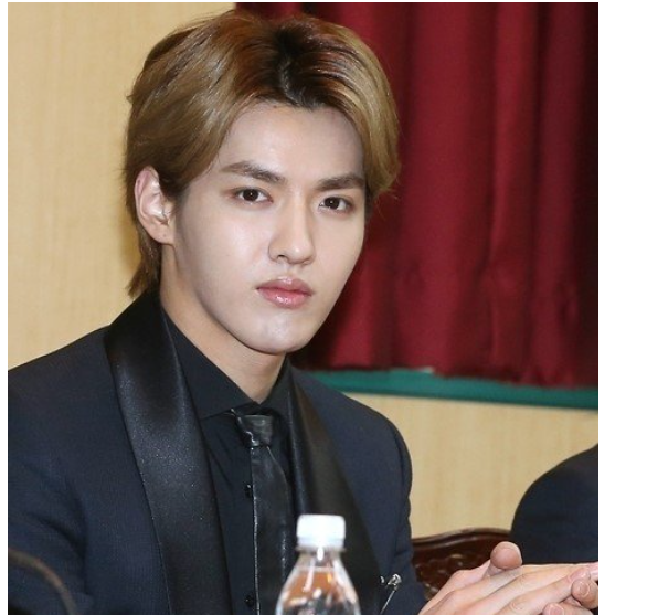  중국 강간죄로 체포 전엑소(EXO) 출신 크리스(우이판) 요약