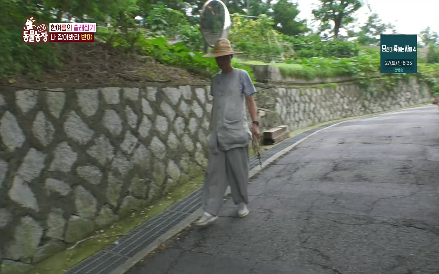 TV 동물농장.E1083.220821p.H264-F1RST.mp4_20220821_183705.608.jpg