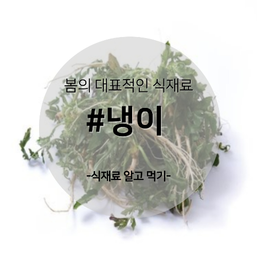  알고 먹기 54. #냉이