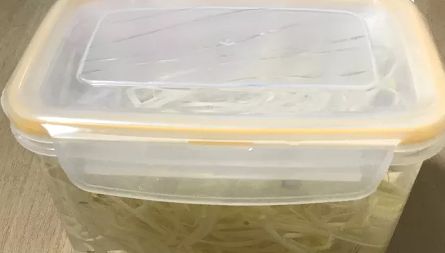 콩나물 오래 보관하기 2