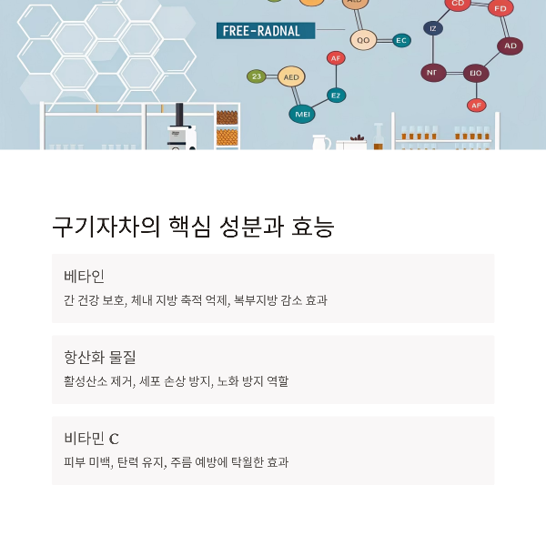 구기자차