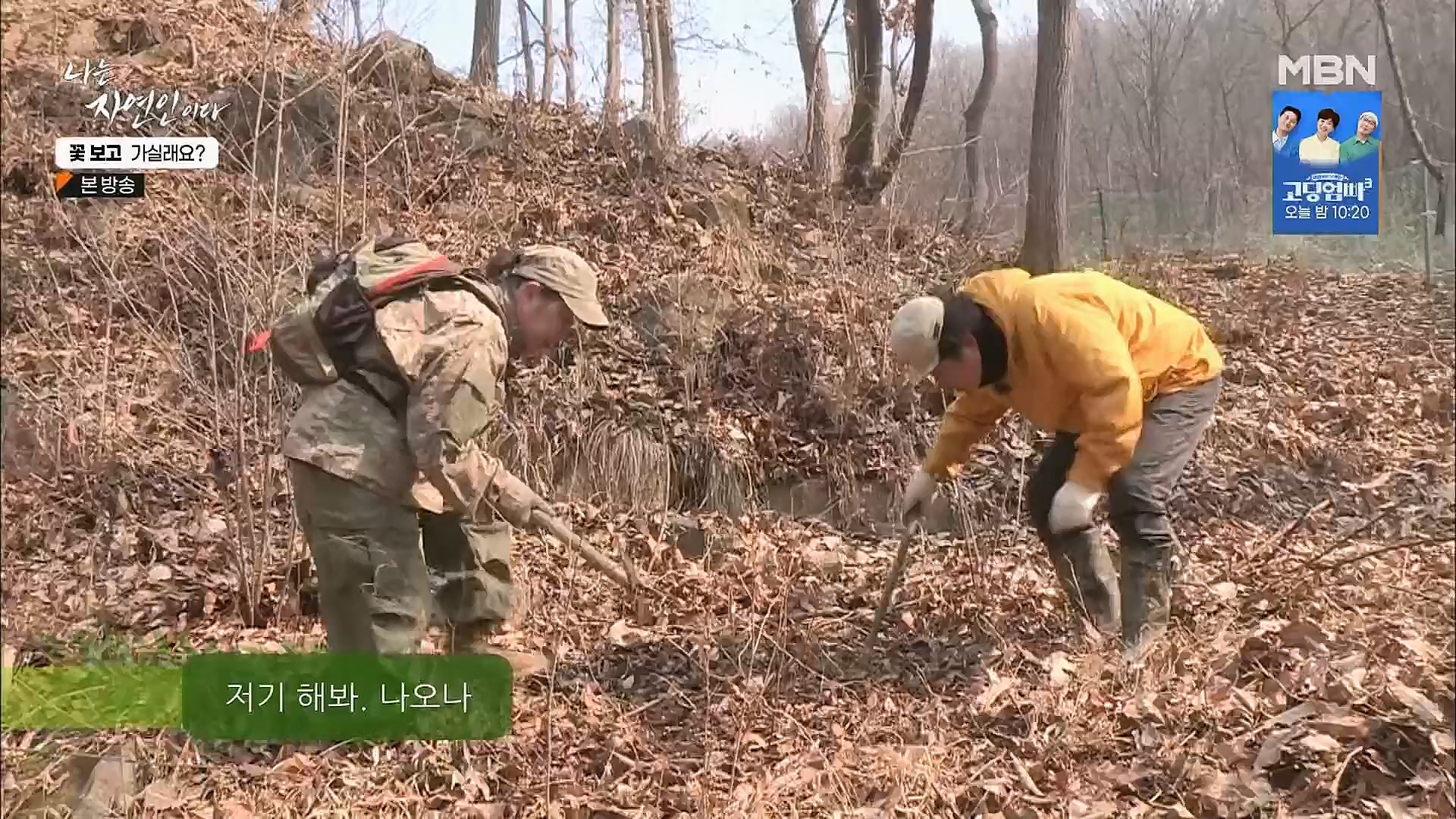 나는 자연인이다.E545.230315p.H264-F1RST.mp4_20230316_212111.803.jpg