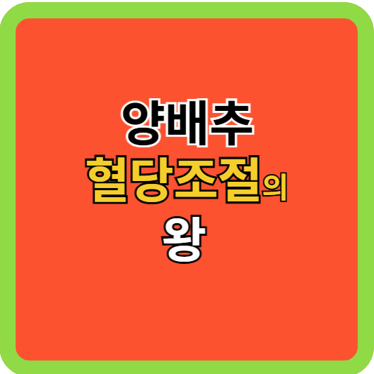 혈당조절의 왕! 양배추 파헤치기!