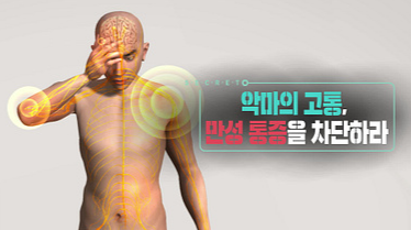 생로병사의비밀재방송