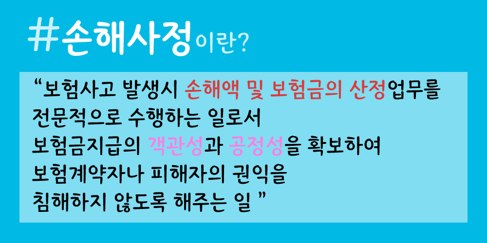손해사정인, 손해사정사, 보험전문가는 구체적으로 무엇을 할까. 9
