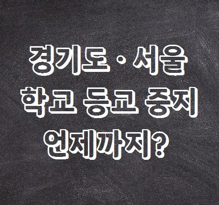  경기도·서울 학교 등교 중지 언제까지?