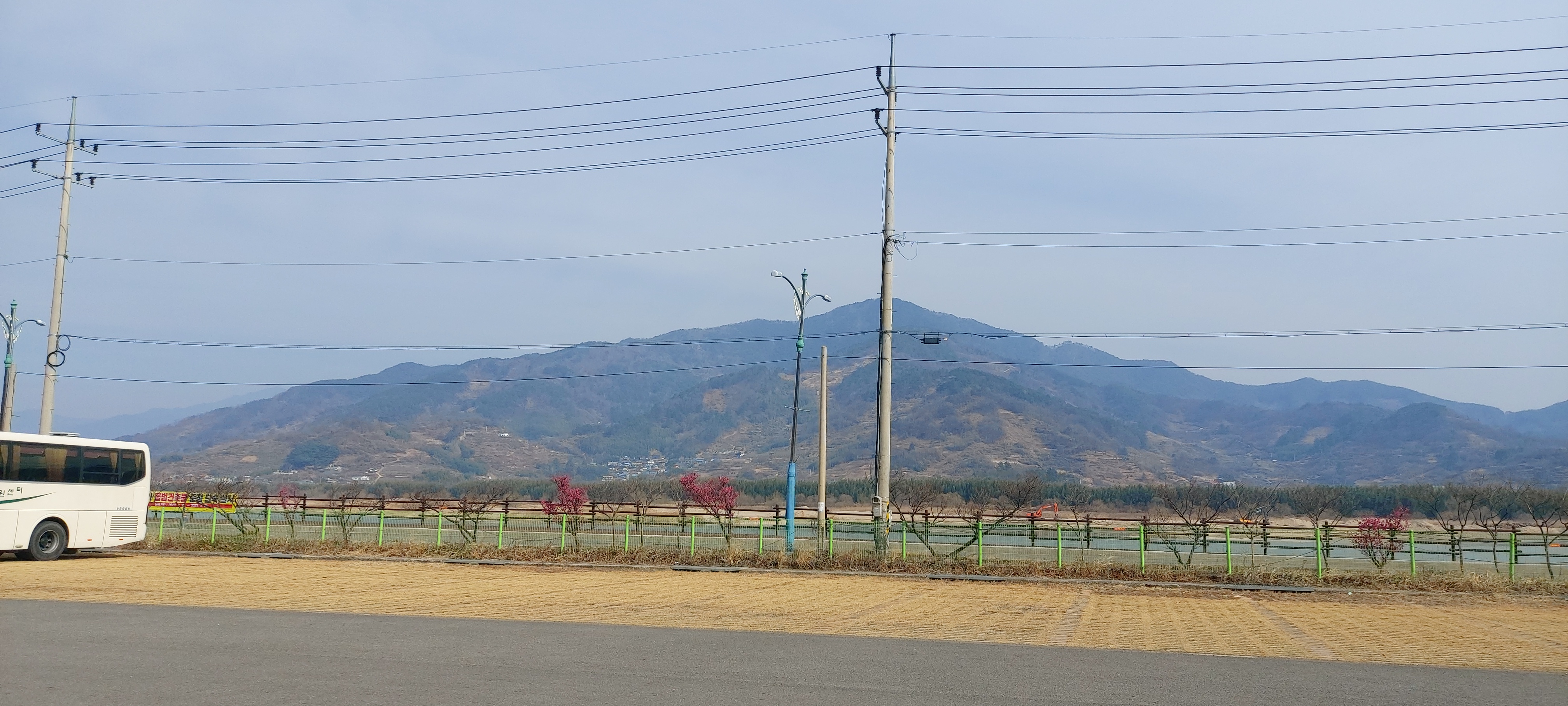 광양 매화마을 둘러보기 3