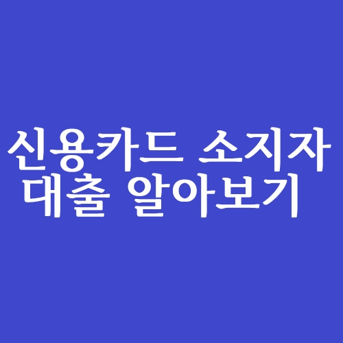  신용카드 소지자 대출 어떻게 알아보나?