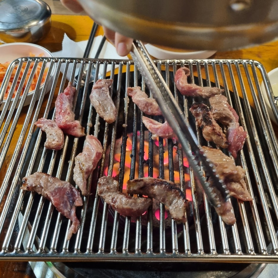 나노갈매기 이미지