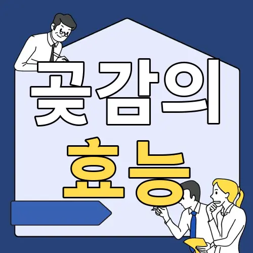 곶감의 효능