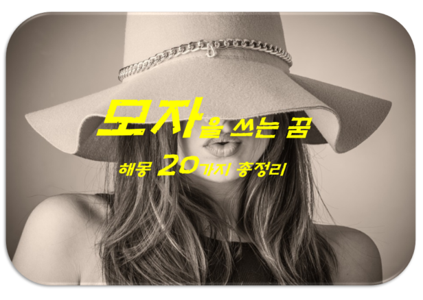  모자꿈 해몽 20가지 총정리