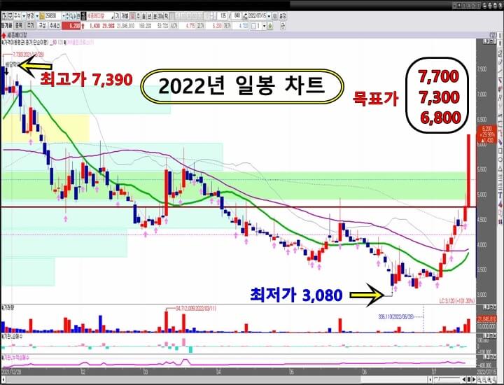 세종메디칼-2022년-일-봉-차트